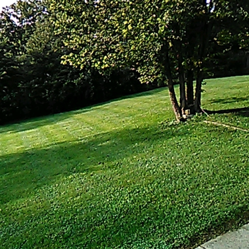 Meet your Posher, Chrissy